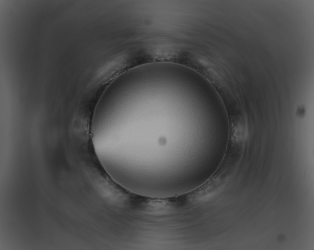 X0000096700666200802121204