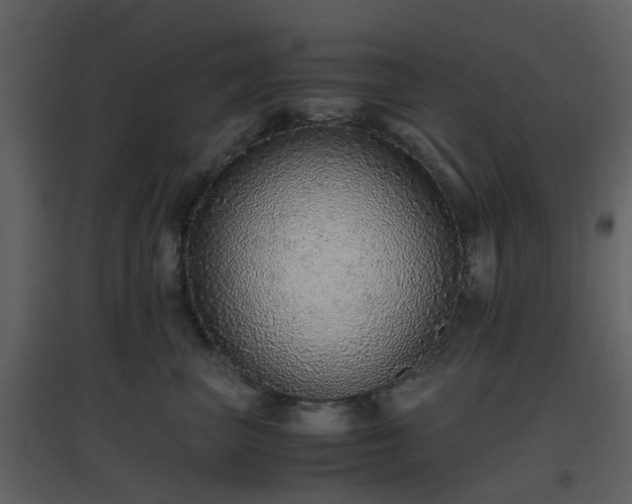 X0000096700667200802121204