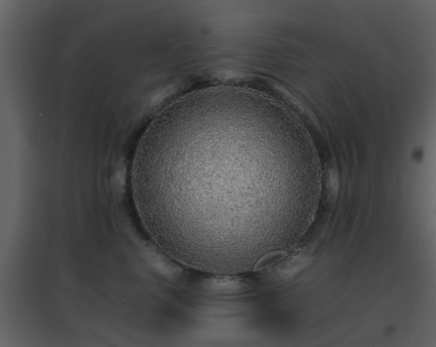 X0000096700668200802121204