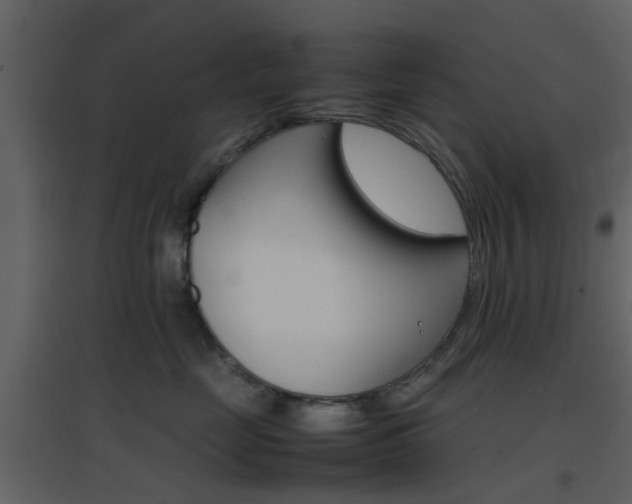 X0000096700669200802121204