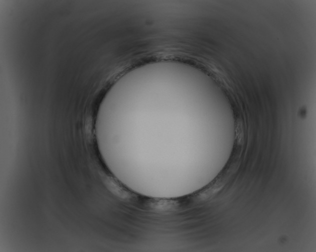 X0000096700670200802121204