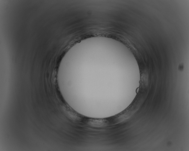 X0000096700671200802121204