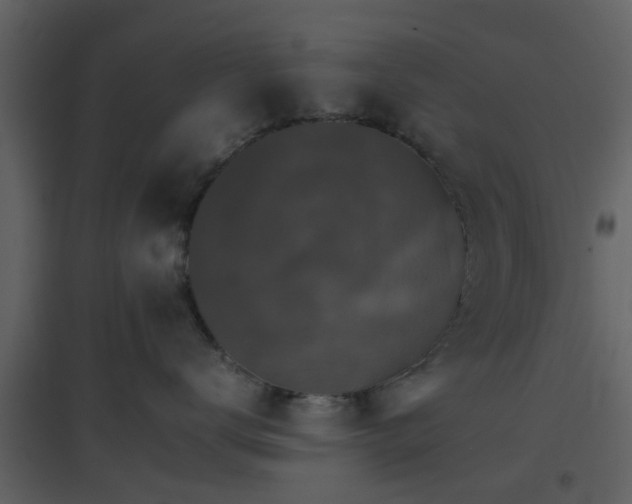 X0000096700672200802121204