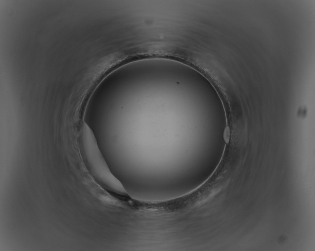 X0000096700673200802121203