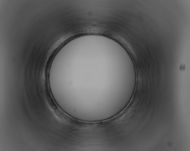 X0000096700674200802121203
