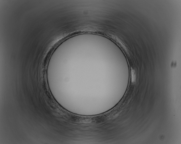 X0000096700675200802121203