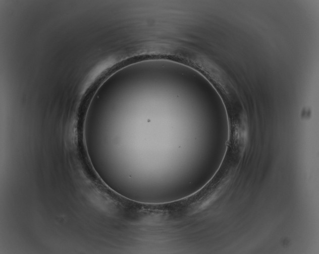 X0000096700676200802121203