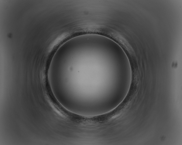 X0000096700677200802121203
