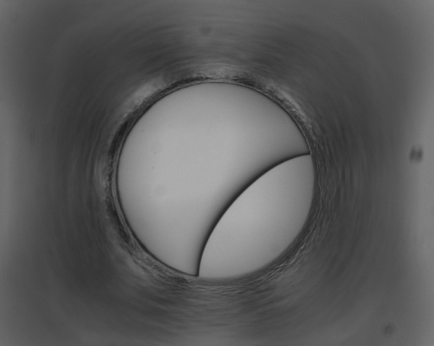 X0000096700679200802121203