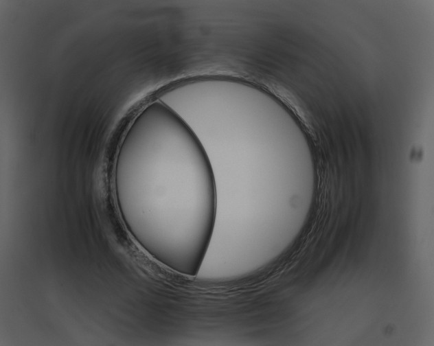 X0000096700680200802121203