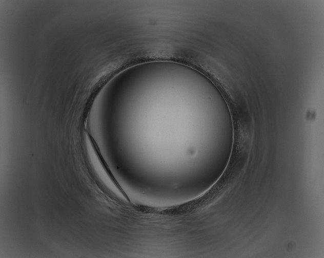X0000096700681200802121203