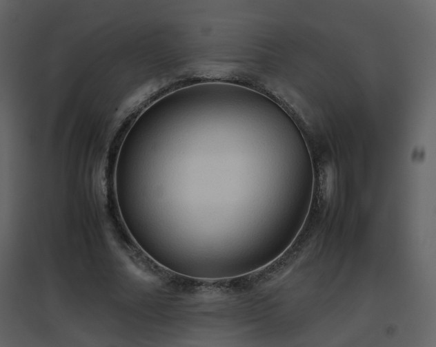 X0000096700682200802121203