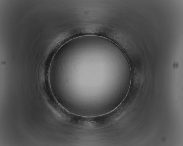 X0000096700683200802121203