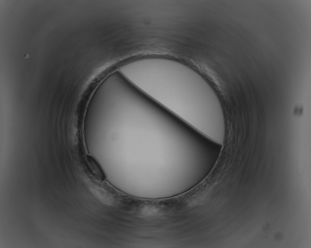 X0000096700684200802121203