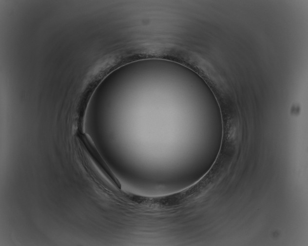 X0000096700685200802121203