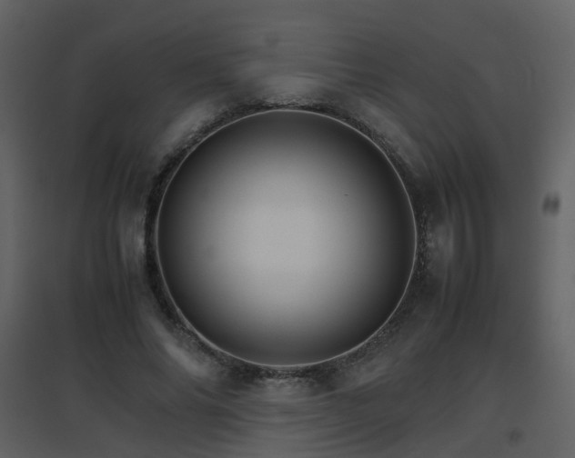 X0000096700686200802121203