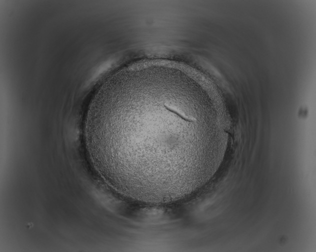 X0000096700687200802121203