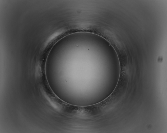X0000096700688200802121203
