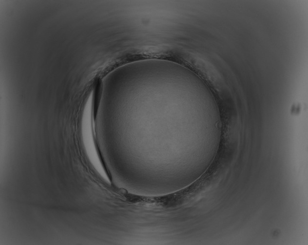 X0000096700689200802121203