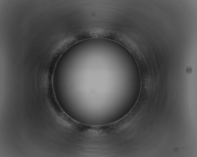 X0000096700690200802121203