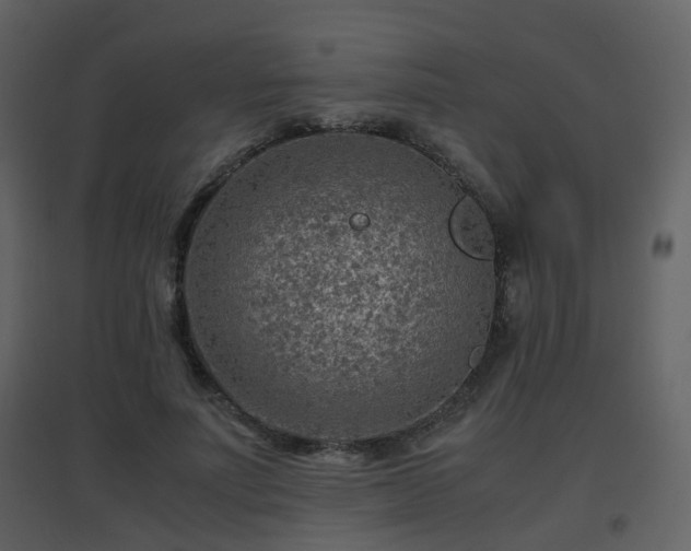 X0000096700691200802121203