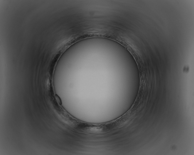 X0000096700692200802121203