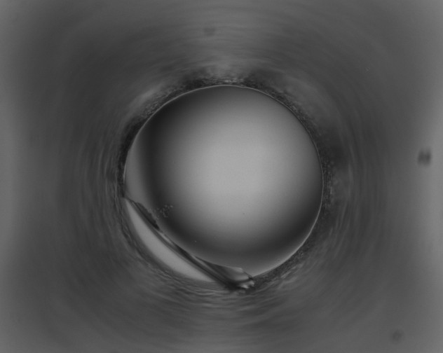 X0000096700693200802121203
