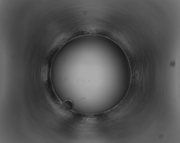 X0000096700694200802121203
