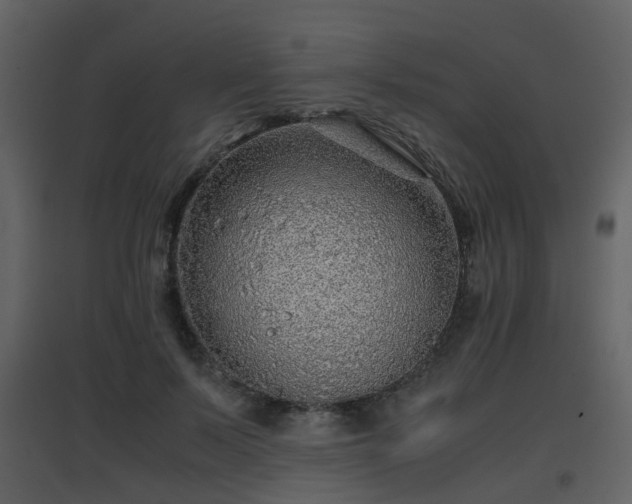 X0000096700695200802121203