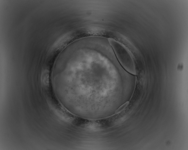 X0000096700696200802121203