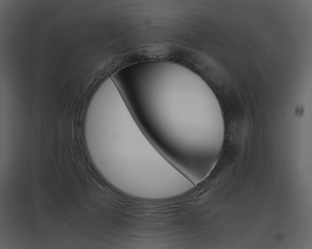 X0000096700697200802121203