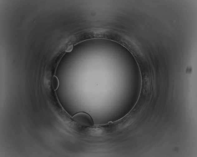 X0000096700698200802121203