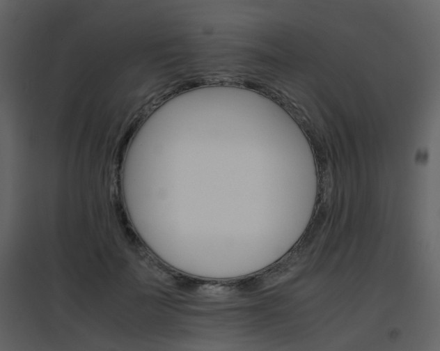X0000096700699200802121203