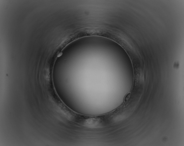 X0000096700700200802121203