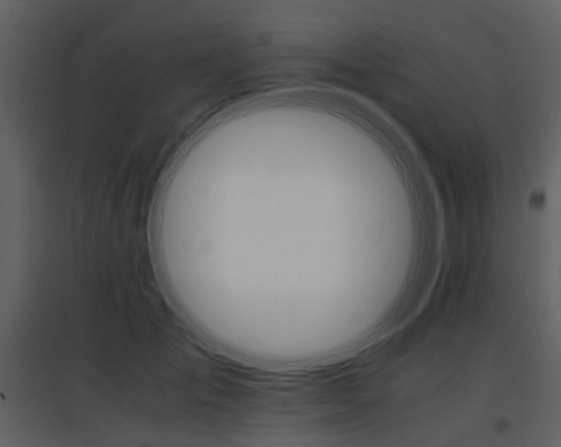 X0000096700701200802121203