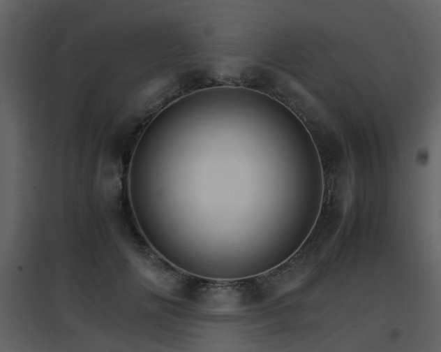 X0000096700702200802121203