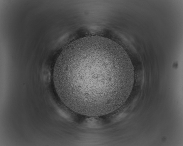 X0000096700703200802121203