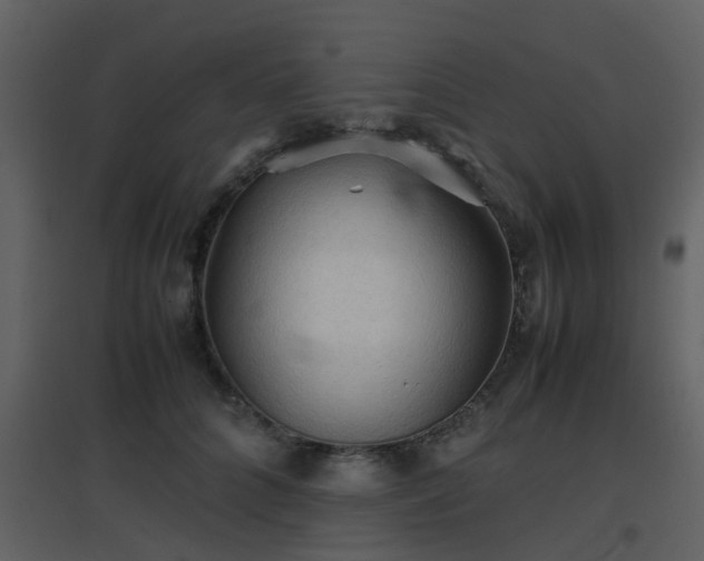 X0000096700704200802121203