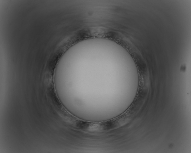 X0000096700705200802121203