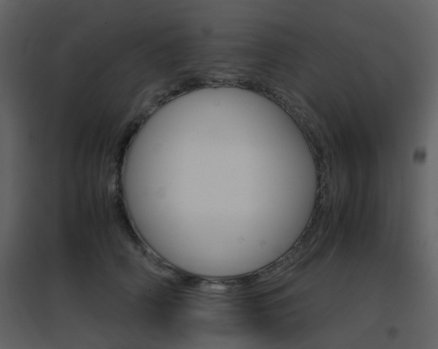 X0000096700706200802121203