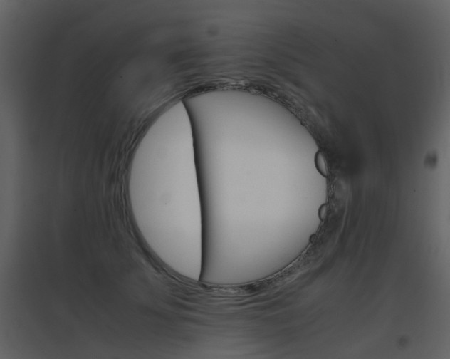 X0000096700707200802121203