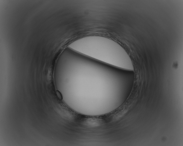 X0000096700708200802121203