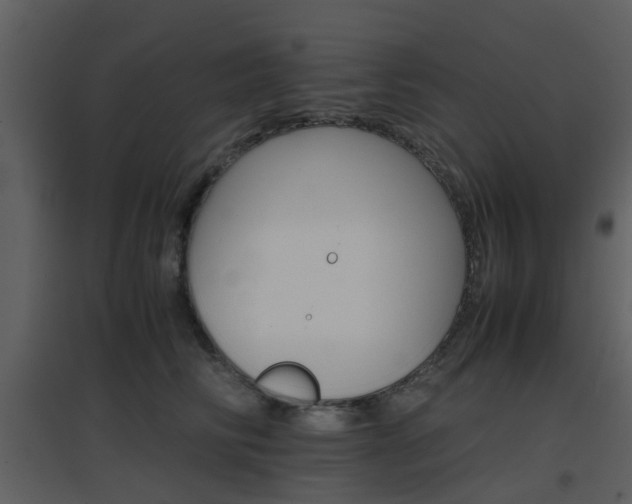 X0000096700710200802121203