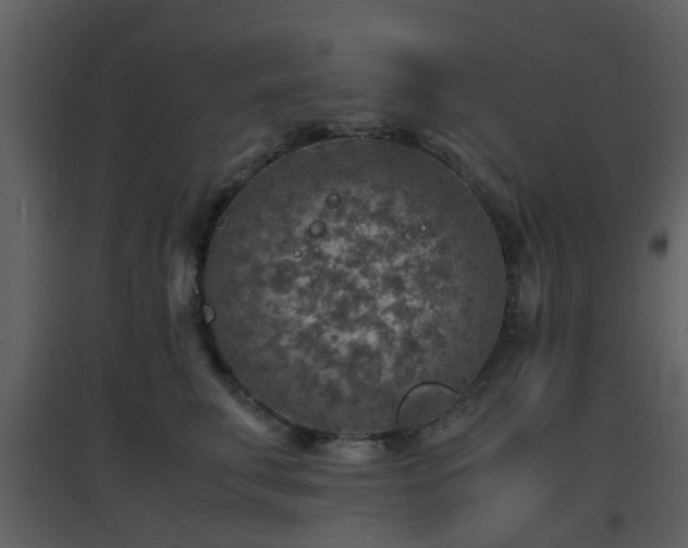 X0000096700711200802121203