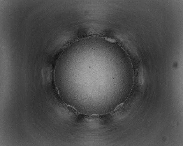X0000096700712200802121203