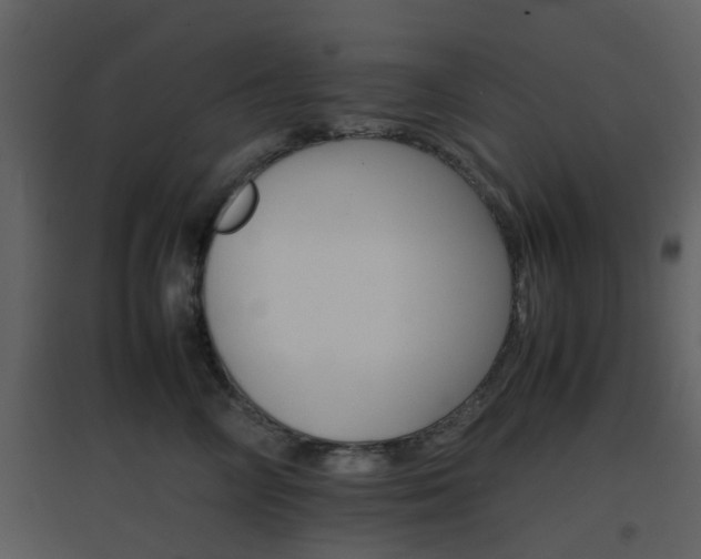 X0000096700714200802121203