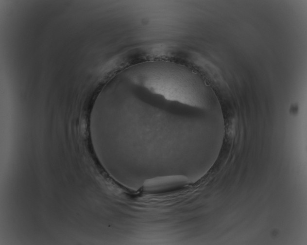 X0000096700715200802121203