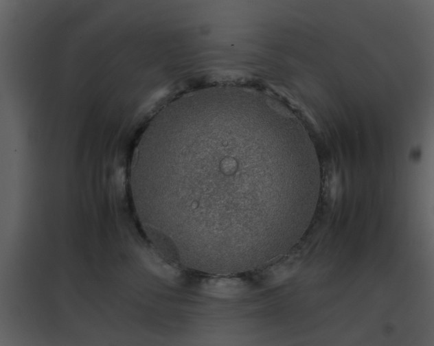 X0000096700716200802121203