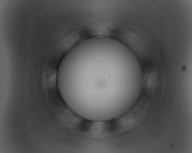 X0000096700717200802121203