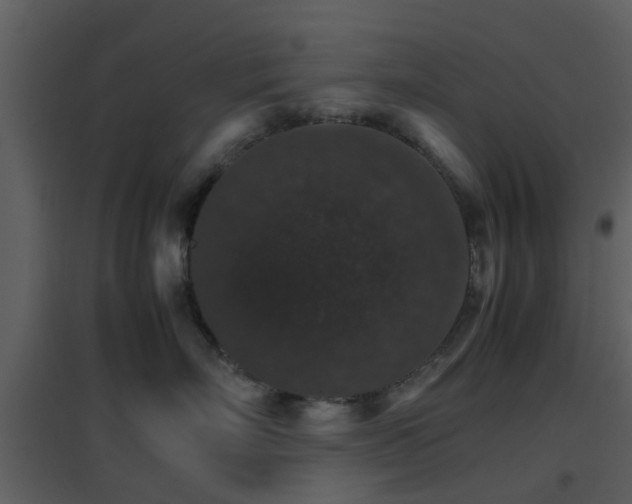 X0000096700718200802121203